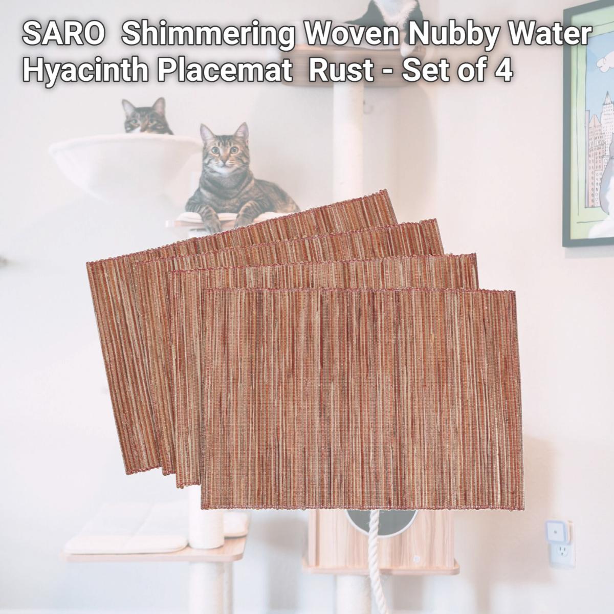 Picture of SARO 217.RU1420B Shimmering Woven Nubby Water Hyacinth Placemat  Rust - Set of 4