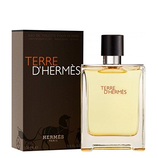20011197 Terre D Men - Eau de Toilette Spray