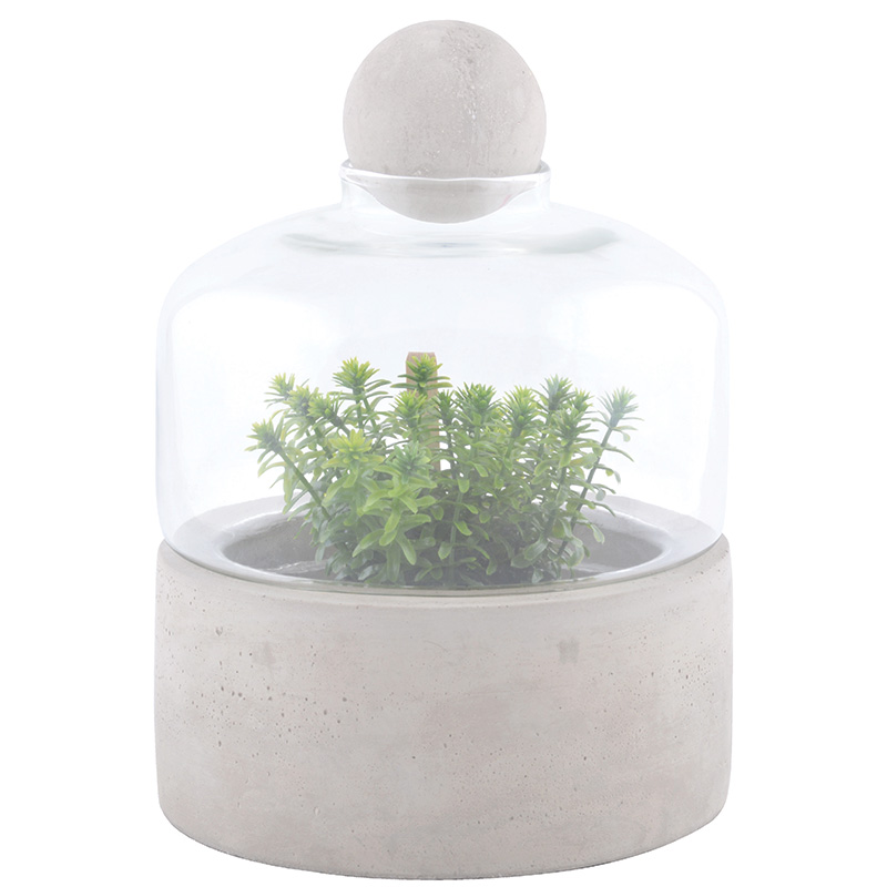 Picture of Esschert Design AGG43 Glass Bottle Terrarium with Concrete Base&#44; Small