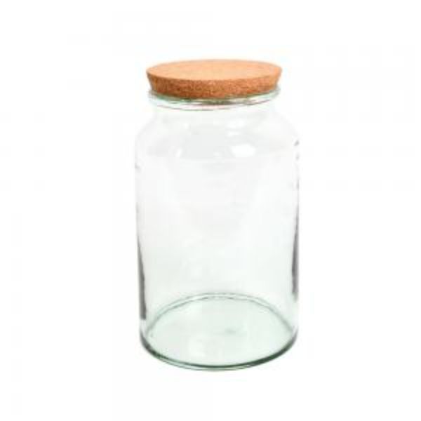 Wide Mouth Half Open Terrarium Bottle, Transparent - Medium