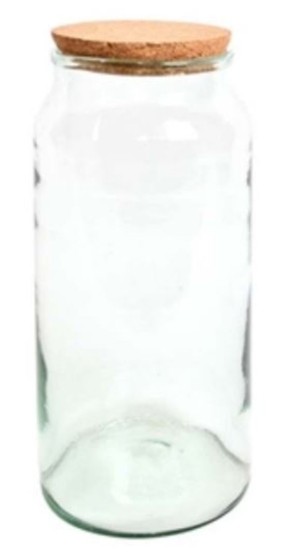 AGG70 Wide Mouth Half Open Terrarium Bottle, Transparent - Large