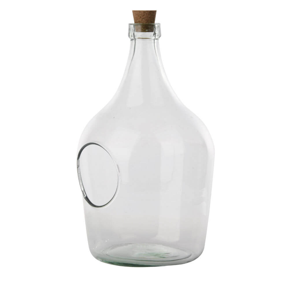 AGG84 5 L Front Open Terrarium Bottle - Glass, Clear - Medium