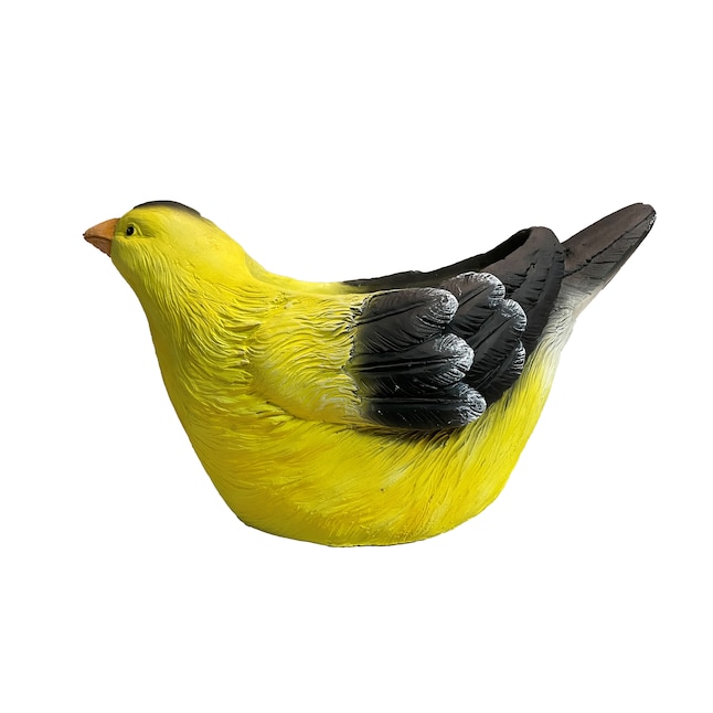ZYCT266 11.8 in. Finch Planter, MGO