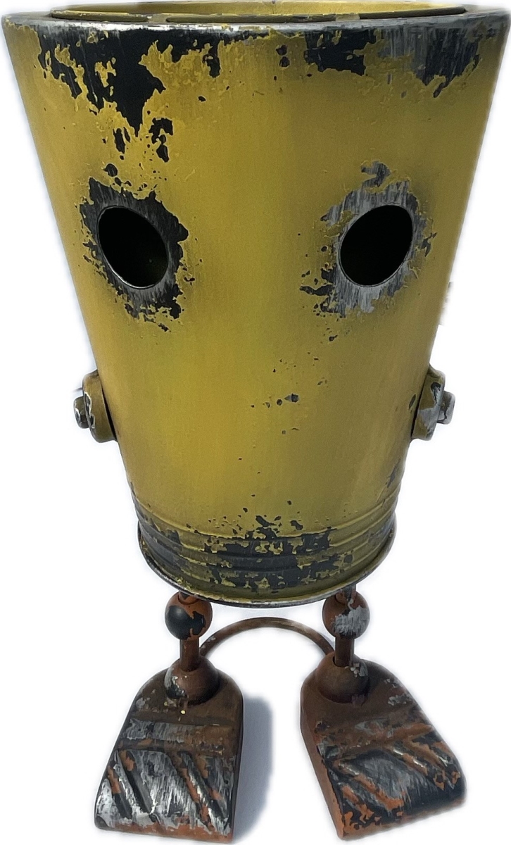 USRBT005 Nano-Bot, Metal Robot