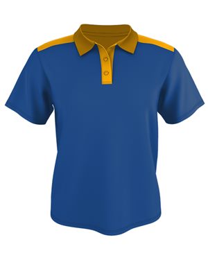 Picture of Badger B53585756 Colorblock Gameday Basic Sport Shirt&#44; Royal & Gold - Extra Large
