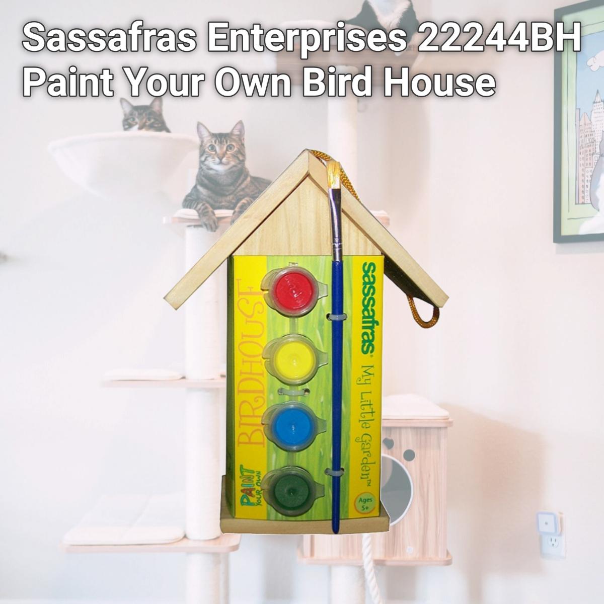 Picture of Sassafras Enterprises 22244BH Paint Your Own Bird House