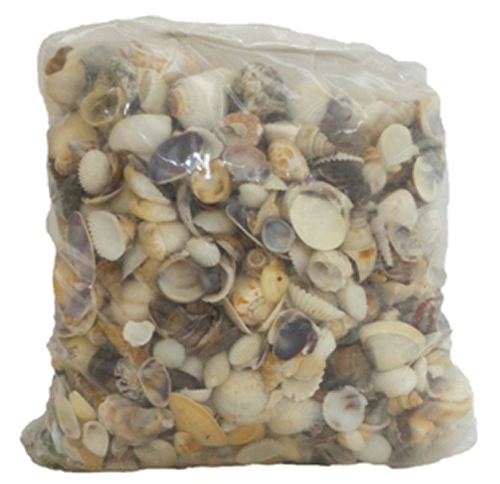 Picture of U.S. Shell 08007 Small Seashells World Mix - 5 lbs