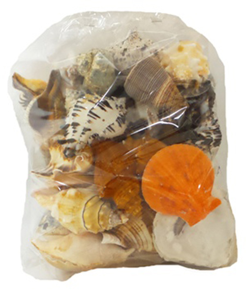 Picture of U.S. Shell 08011 Large Seashells World Mix - 5 lbs