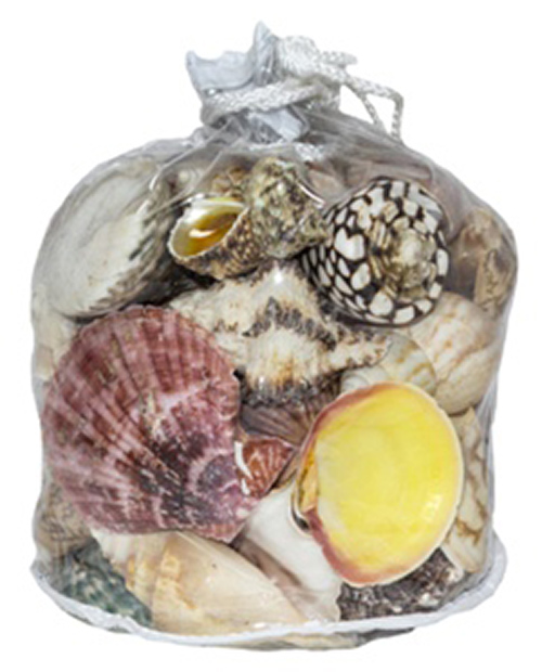 Picture of U.S. Shell 08462 Designer Shell Gift Bag
