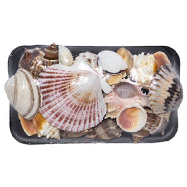 Picture of U.S. Shell 08027 17-S Shell Pack - 2 Piece