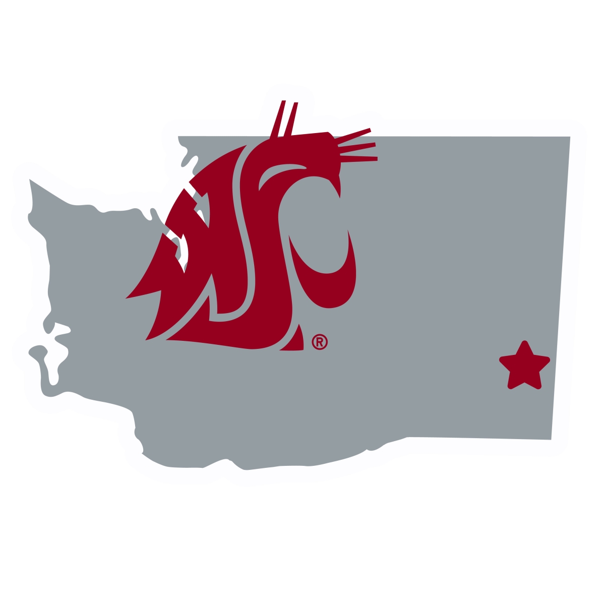 Siskiyou CSTM71 11 in. Unisex NCAA Washington State Cougars Home State Magnet