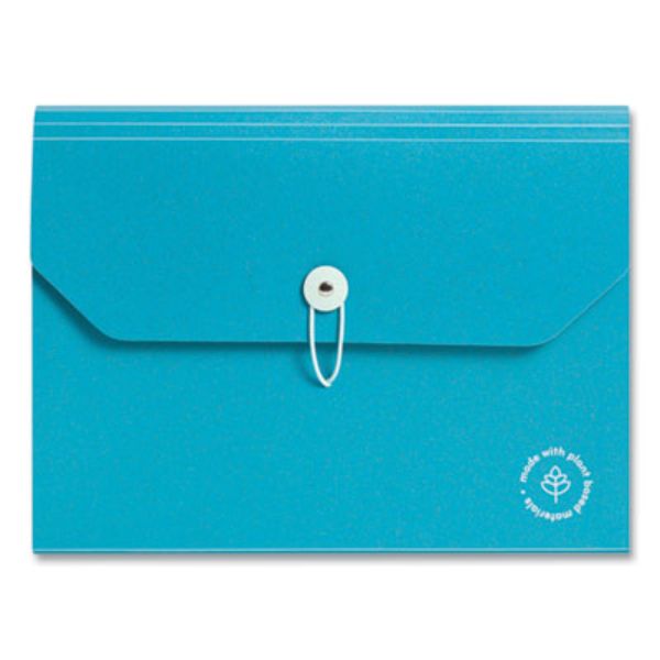 Ueco Expandable File Folder, Blue