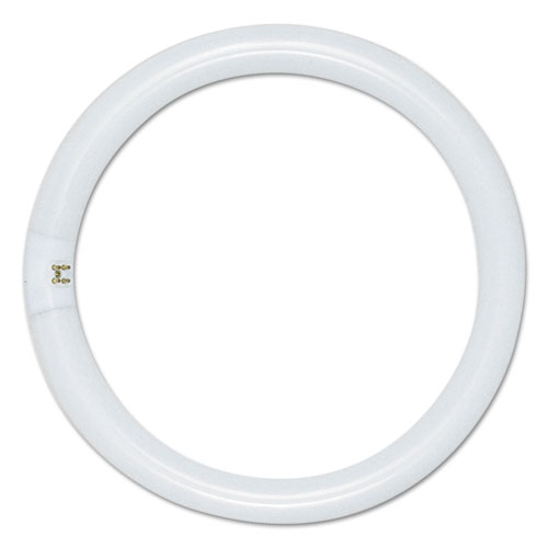 22 W Circle line Fluorescent Tube