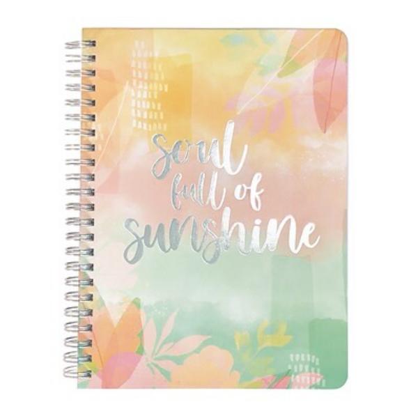 Picture of Carolina Pad CPP45057 6 x 8 in. Silver Lining Hardcover Journal Notebook&#44; Assorted Color