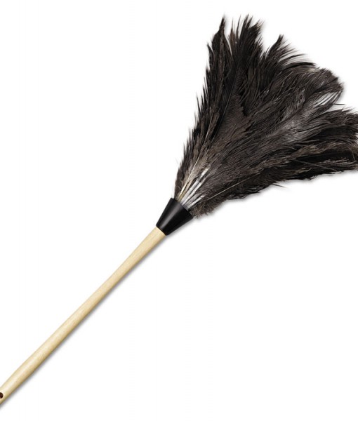 Picture of Boardwalk BWK23FD Professional Ostrich Feather Duster with 13 in. Wood Handle - Natural
