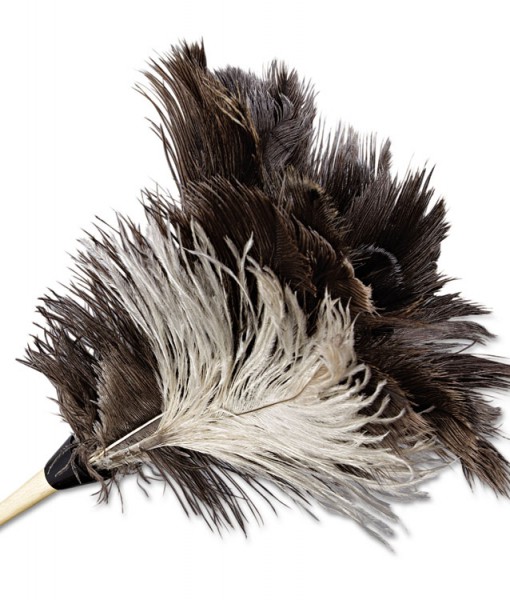 Picture of Boardwalk BWK13FD Professional Ostrich Feather Duster with 7 in. Wood Handle - Natural
