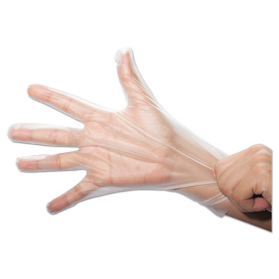 Picture of SEZ HPEF204 SemperGuard FoodSafe Stretch Poly Gloves - Large&#44; Polyethylene - Clear