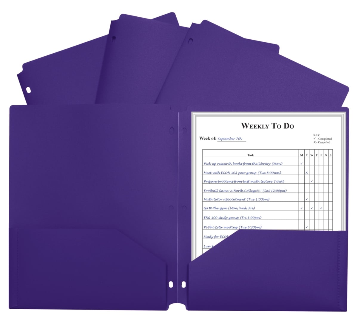 Two-Pocket Heavyweight Poly Portfolio Folder with Three-Hole Punch, Purple - Pack of 25