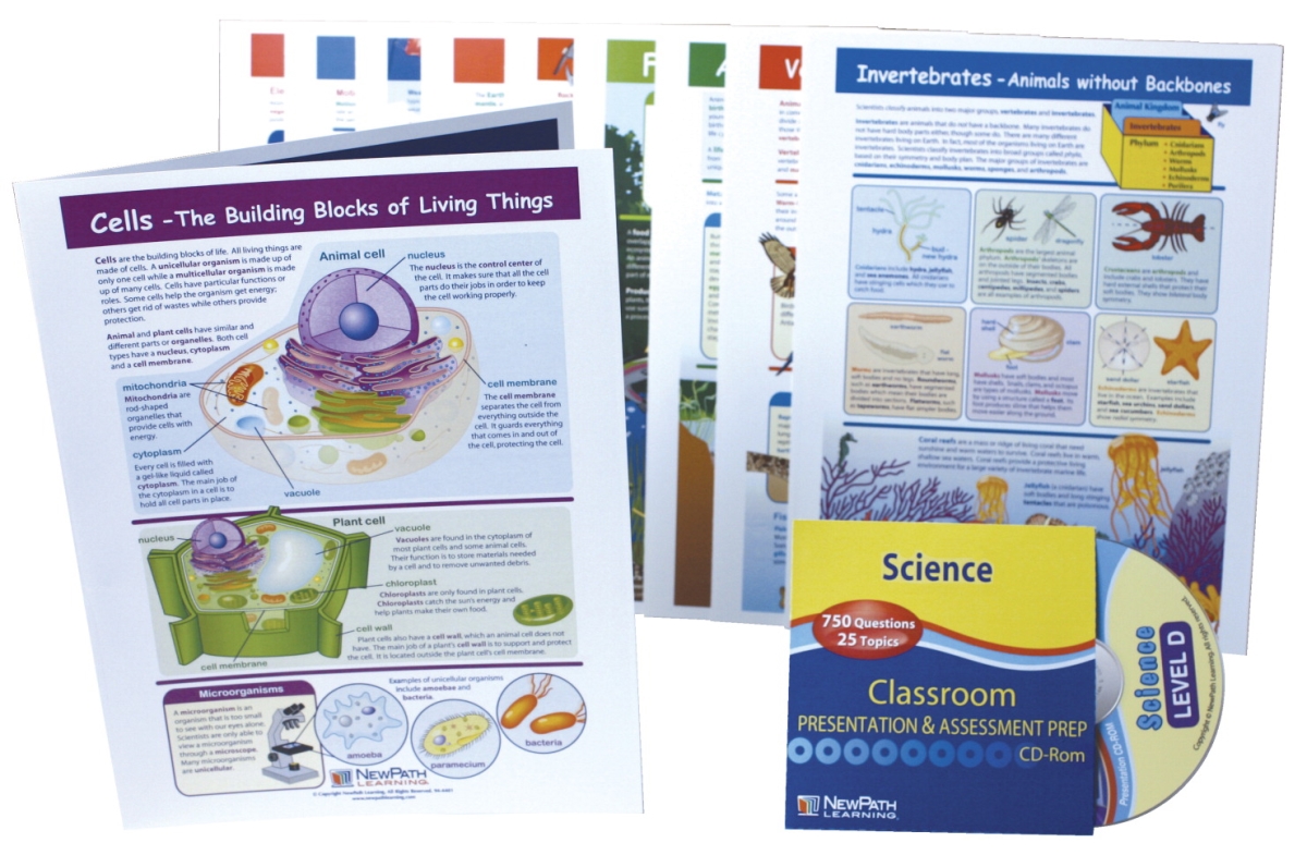 Picture of NewPath Learning 1370660 Visual Learning Guides Science Set&#44; Grade 4
