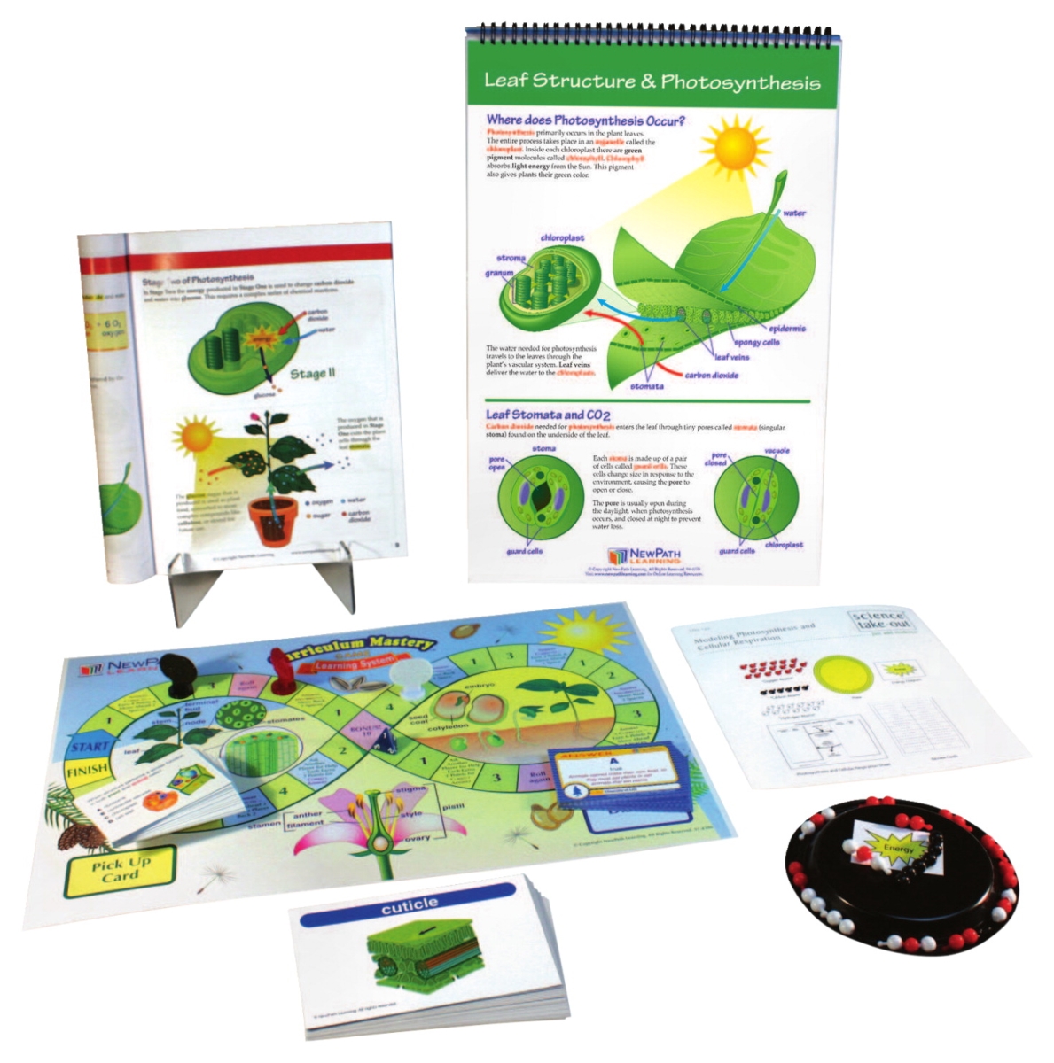 Picture of NewPath Learning 1531260 Photosynthesis & Cellular Respiration Curriculum Learning Module