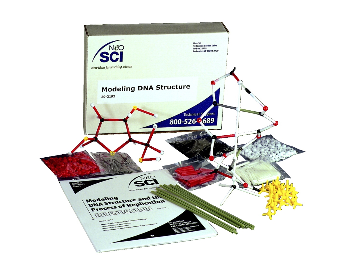Picture of Frey Scientific 20-2193 Neosci Modeling DNA Structure & the Process of Replication Lab Investigation