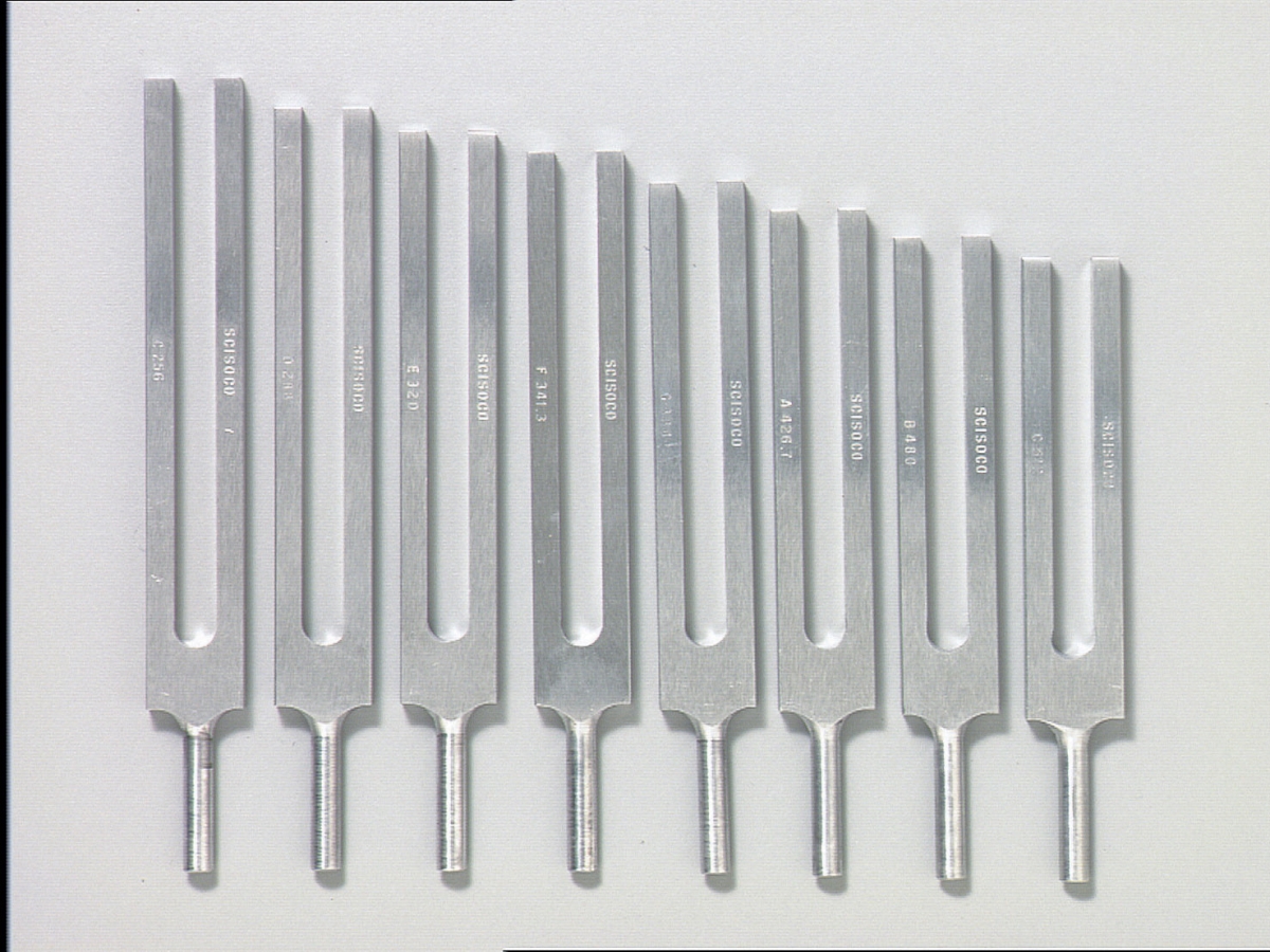 Picture of Frey Scientific 574070 Aluminum Tuning Fork - C 256 Hz