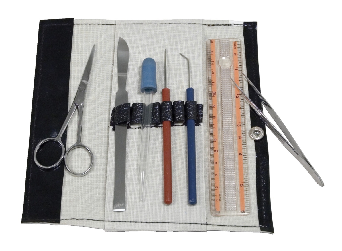 Picture of DR Instruments 576336 60 Series Economy Dissection Set - 8 Piece