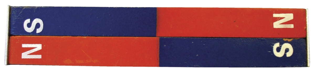 Picture of Frey Scientific 568406 School Specialty Science Painted Steel Bar Magnets&#44; Red & Blue