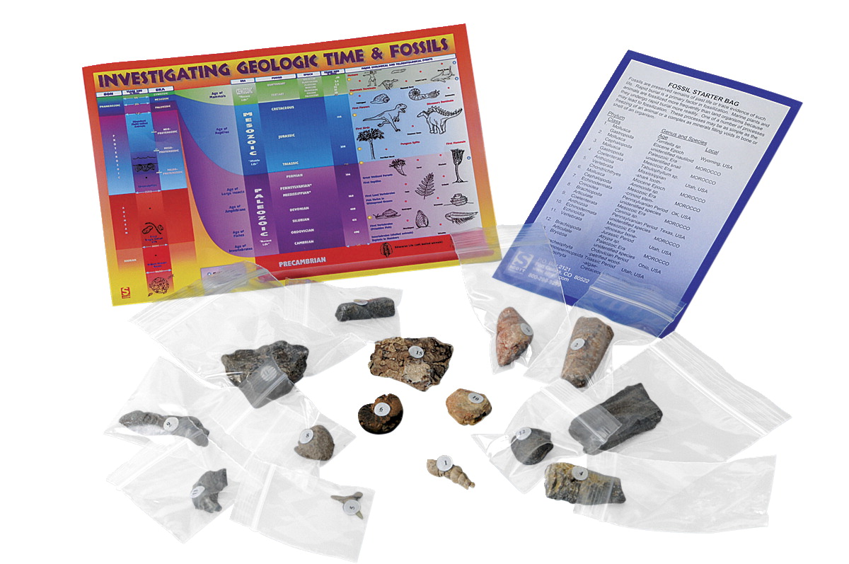 Picture of Geoscience 1399921 Scott Resources Fossil Starter Bag - Set of 15