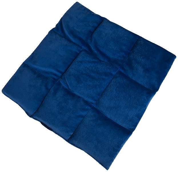 Picture of Abilitations 2005620 13 x 9 in. Weighted Lap Pad, Blue - 2 lbs - Small