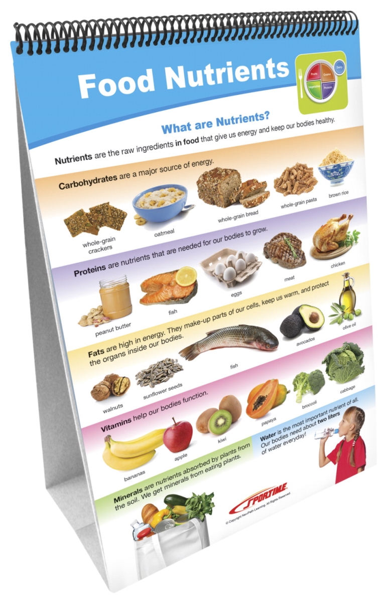 My Plate Food Groups Flip Chart Set - Grade 1-4
