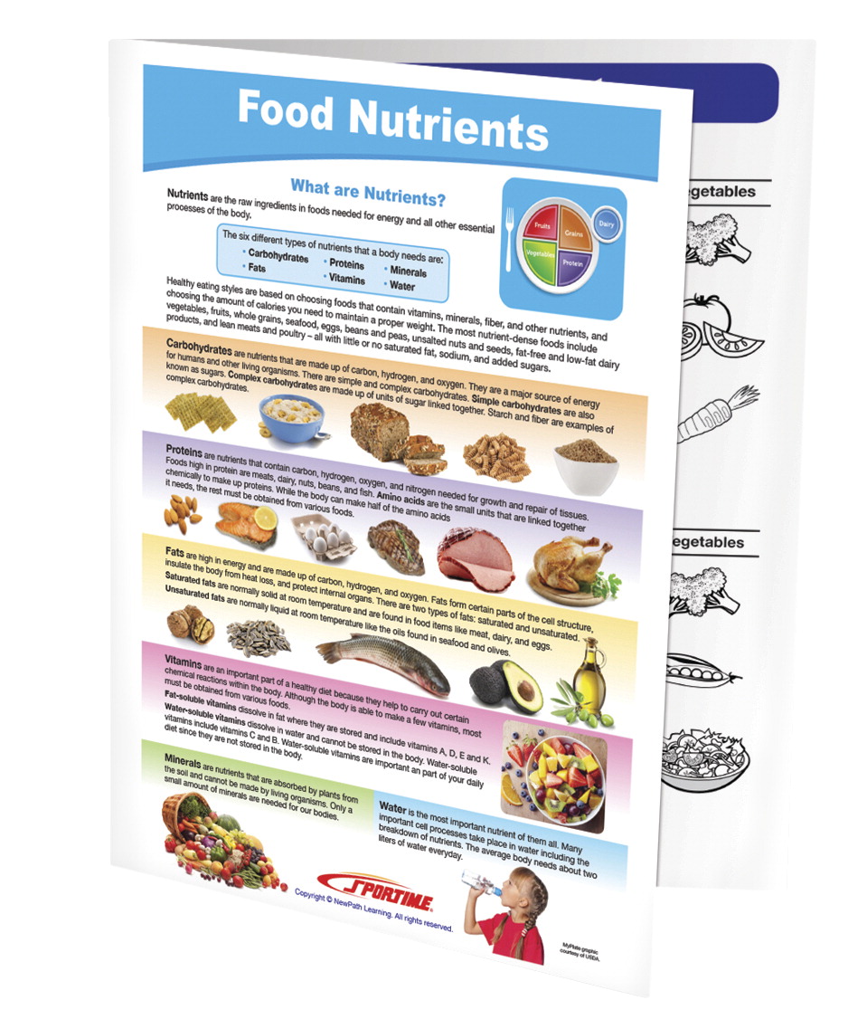 2013502 Food Nutrients Visual Learning Guide - Grade 5-9