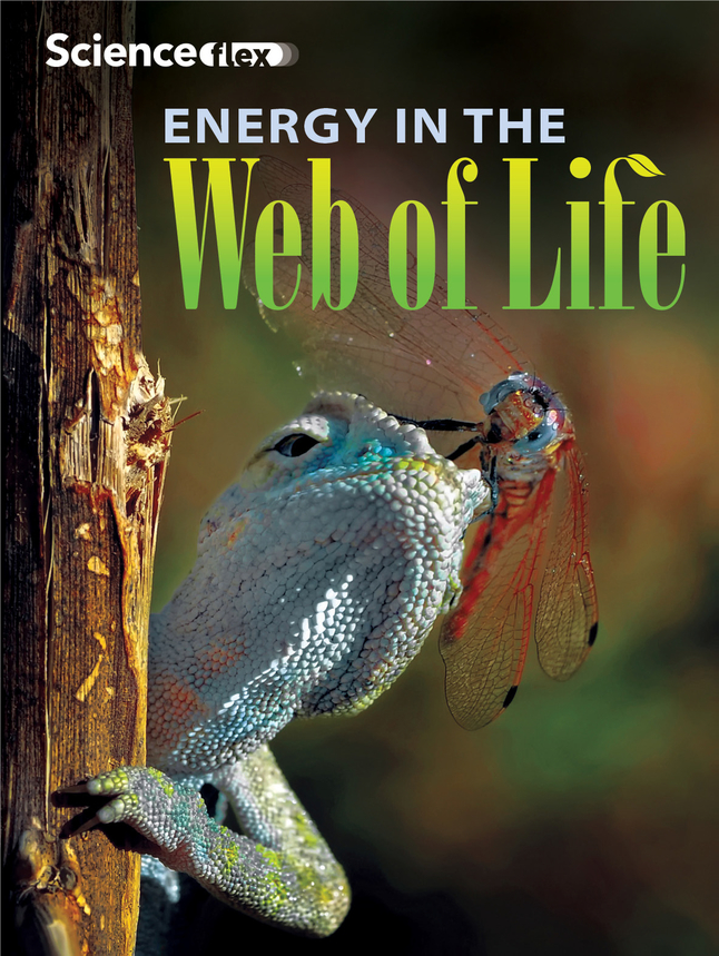 Picture of Standard Printing 2002026 ScienceFlex Energy in the Web of Life&#44; Blue Reader - Pack of 4