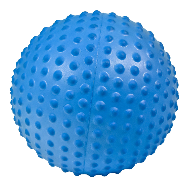 Picture of Trial SRL 2040338 9.75 in. Sportime Sonorous Sensory Ball&#44; Blue
