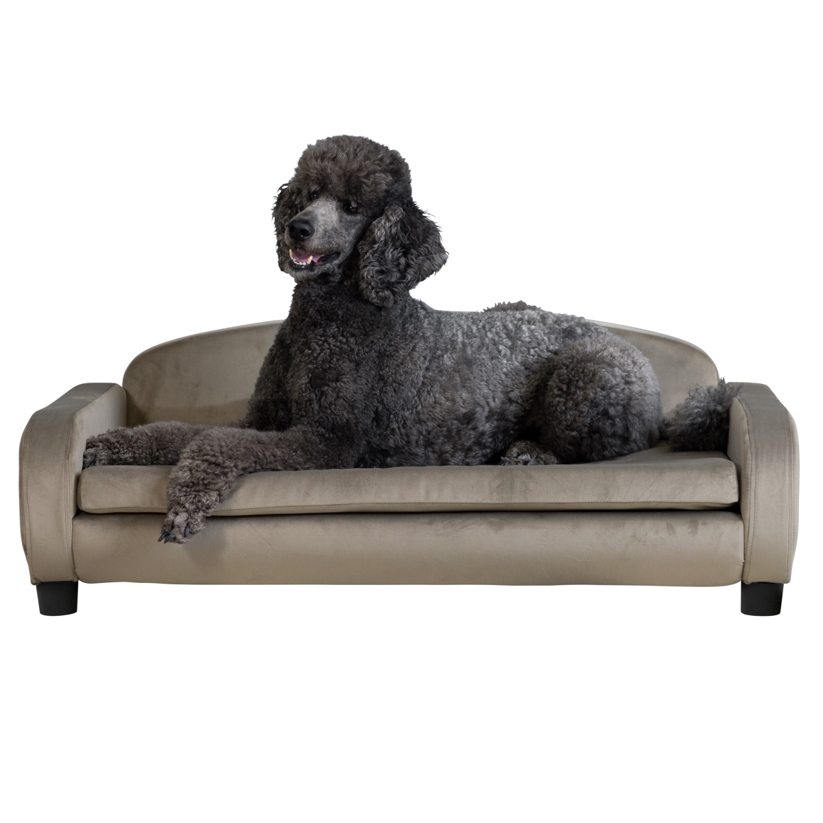 Picture of Paws & Purrs 61111 Modern 41.5&#34; Wide Pet Sofa/Bed for Large Dog with Removable/Washable Mattress Cover
