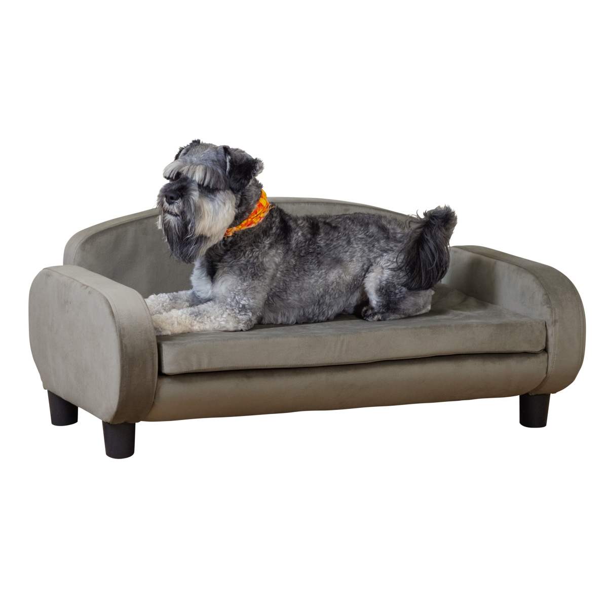 Picture of Paws & Purrs 61101 Paws & Purrs Dog Sofa Bed  35.5&apos; Modern Pet Couch for Medium Size Dogs with Washable Removable Cover