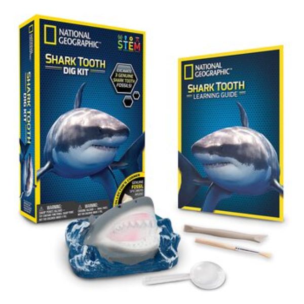 Picture of National Geographic 300551 Shark Tooth Dig Kit