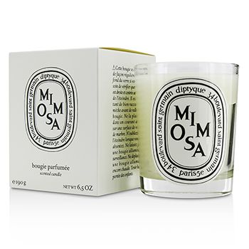 178970 6.5 oz Scented Candle - Mimosa -  Diptyque