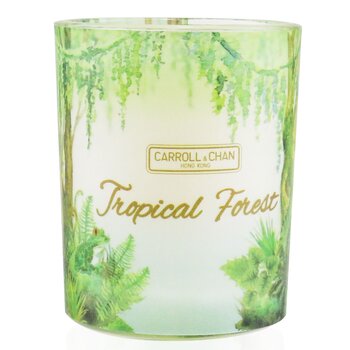 Picture of The Candle 250728 2.3 oz Beeswax Votive Candle&#44; Tropical Forest