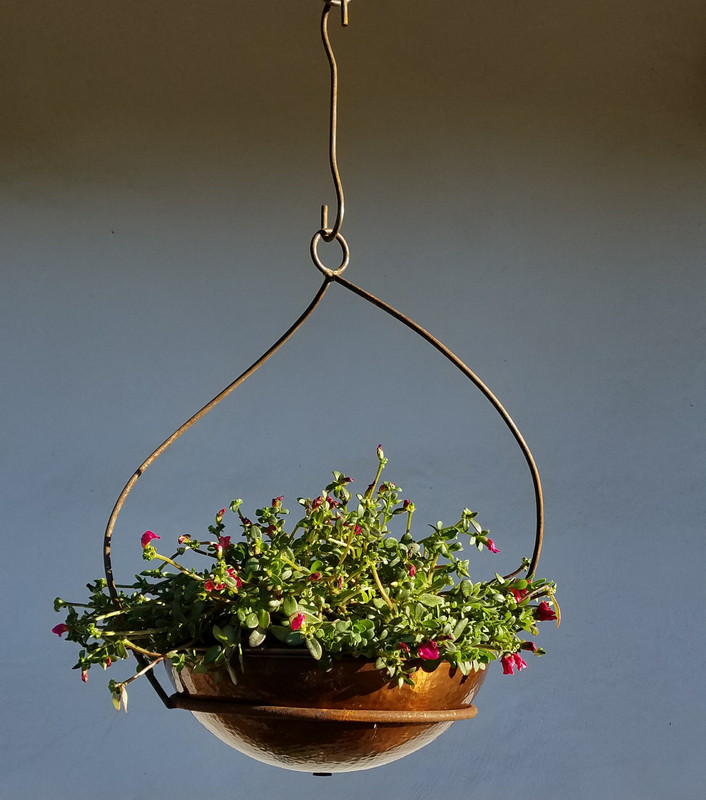 Twist Hammered Copper Planter