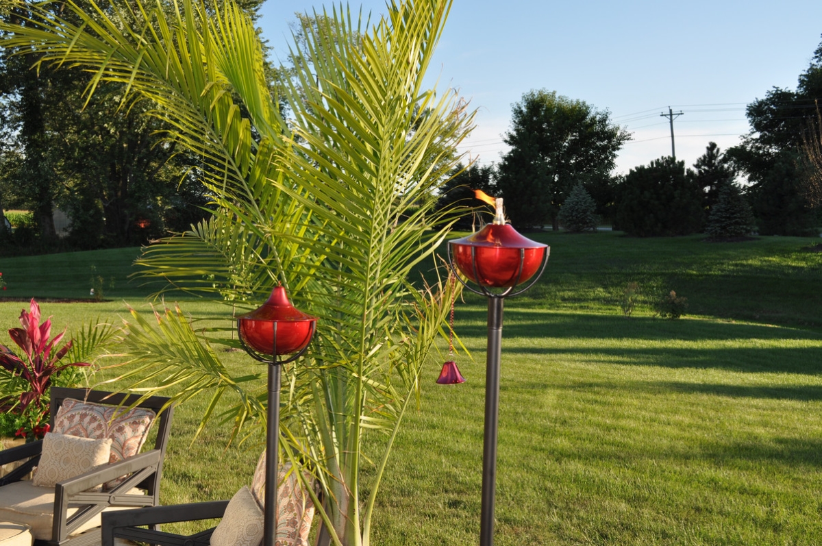 Picture of Find Your Passage 1204-CR-LITE Cranberry Maui Grande Garden Torch - Set of 2