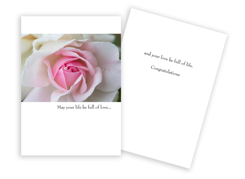Picture of Sun Day Greetings GC 1423 WD May Your Life Be Full of Love Pink Rose Wedding Greeting Card