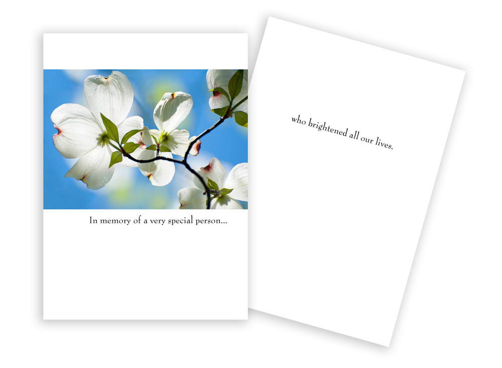 Picture of Sun Day Greetings GC 1575 SY In Memory of A Very Special Person White Flower Sympathy Card