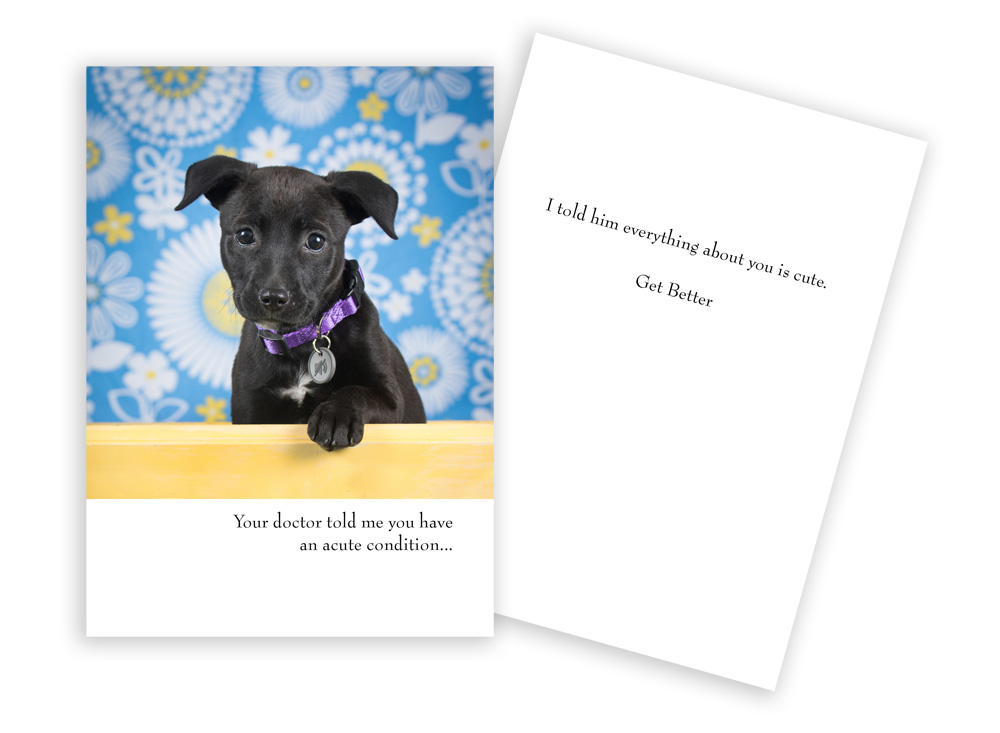 Picture of Sun Day Greetings GC 1902 GW Your Doctor Told Me Adorable Puppy Get Well Greeting Card