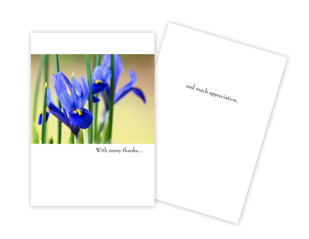 Picture of Sun Day Greetings GC 1527 TY Thank You with Many Thanks Purple Flower Greeting Card