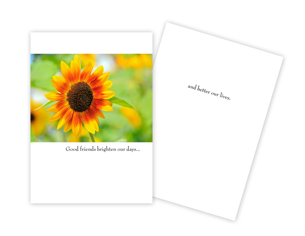 Picture of Sun Day Greetings GC 1682 FS Good Friends Brighten Our Days Orange Daisy Greeting Card