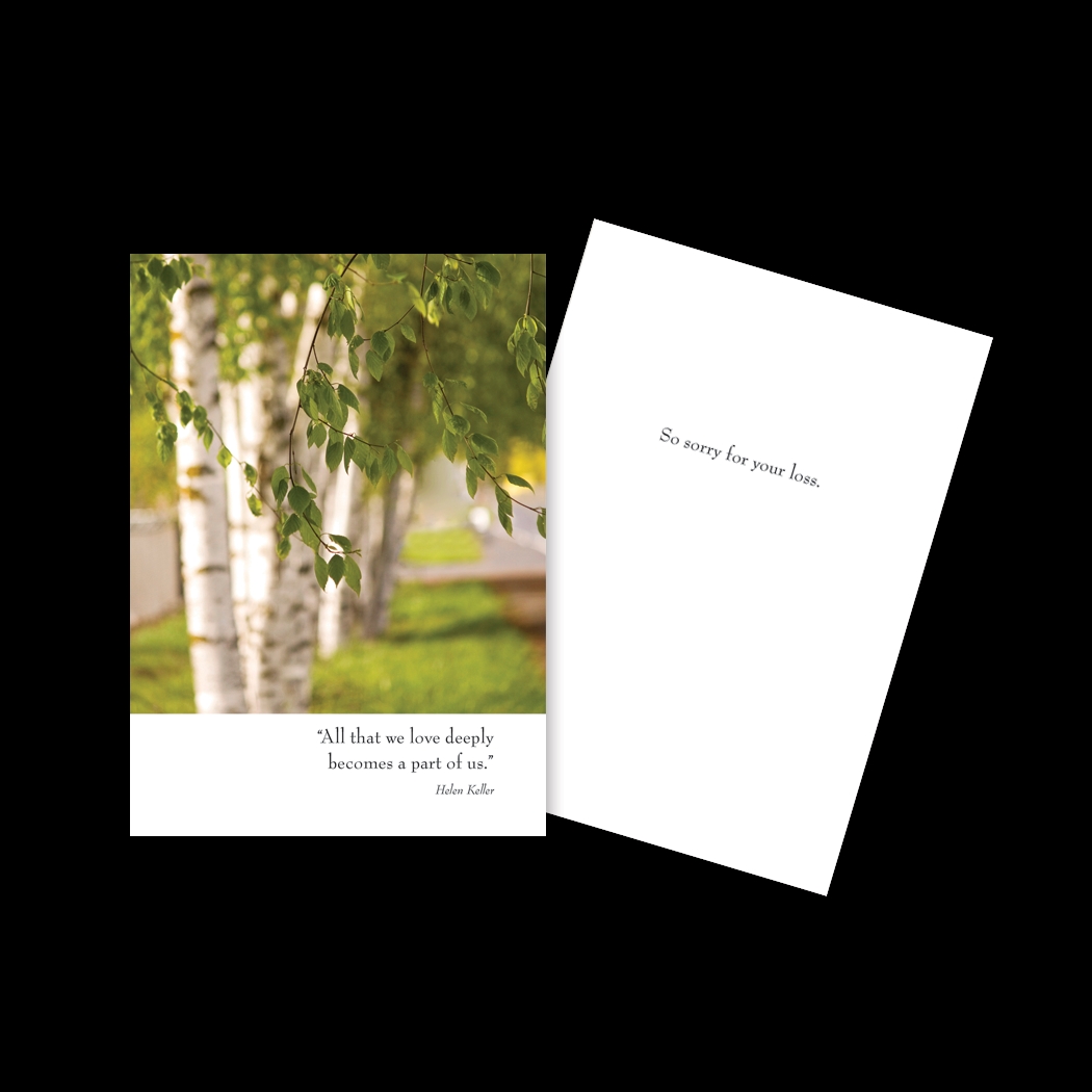 Picture of Sun Day Greetings GC 1588 SY All That We Love Deeply Birch Tree Greeting Card