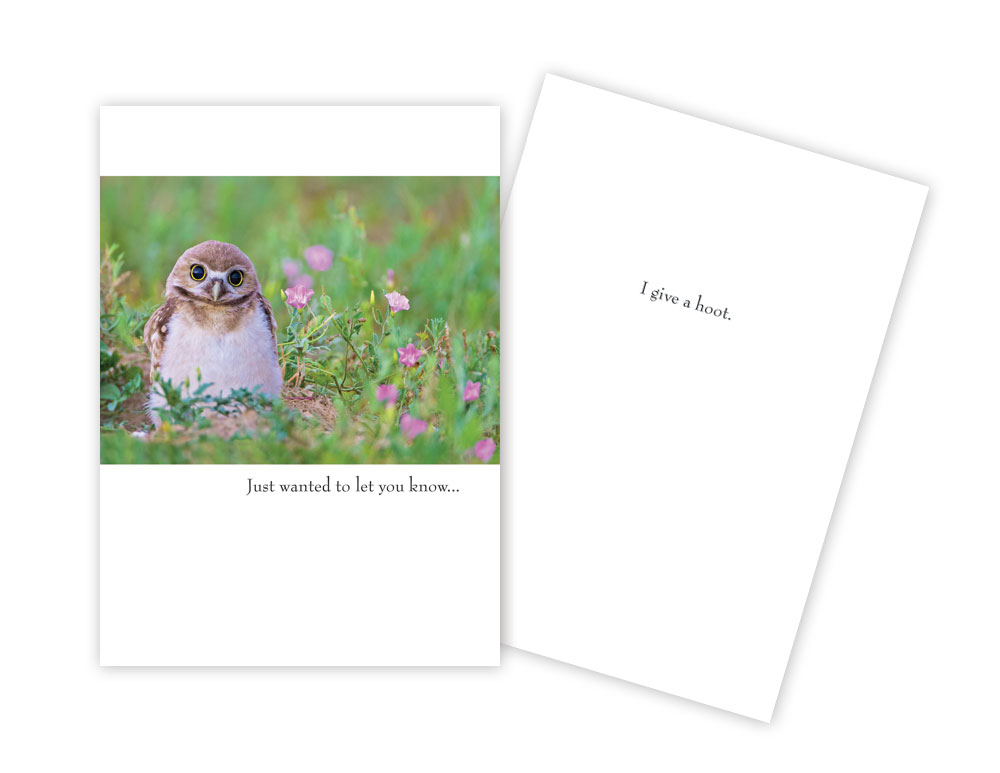 Picture of Sun Day Greetings GC 1742 TH Just Wanted to Let You Know Owl Thinking Greeting Card