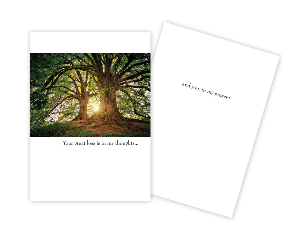 Picture of Sun Day Greetings GC 1600 SY Your Great Loss Sunlight Through Trees Sympathy Card