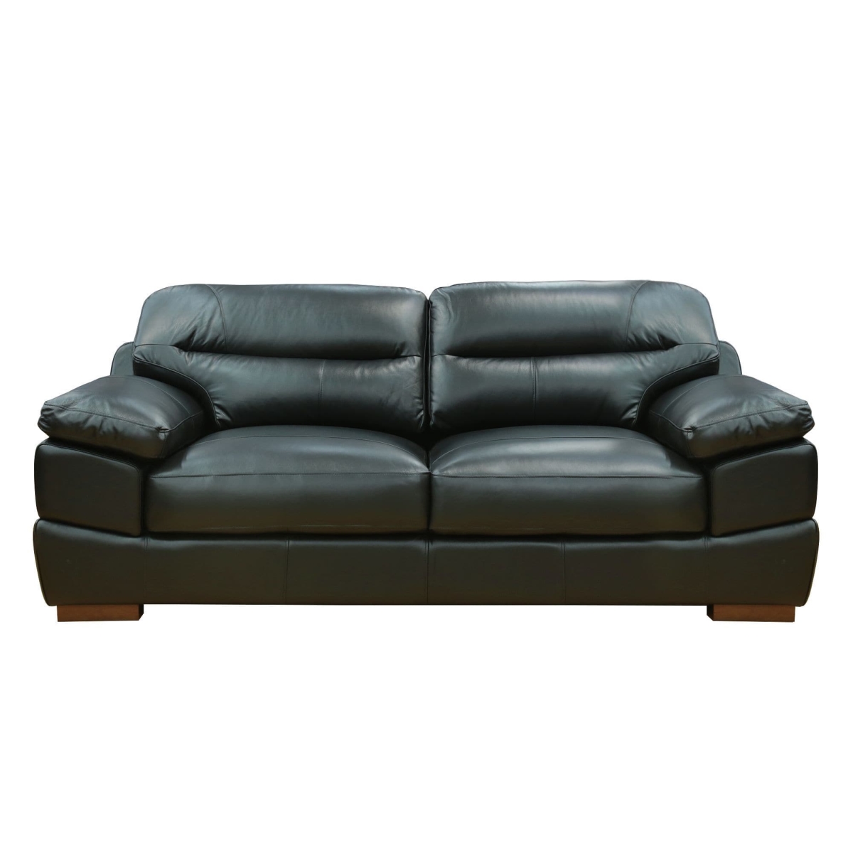 89 in. Jayson Top Grain Leather Sofa Black